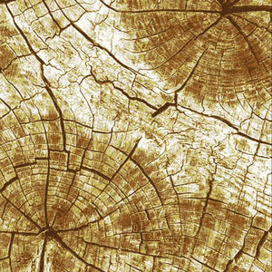 Alfombras de Jacquard de Pasto Marino Turco Adiva, Fabricante de Gaziantep - Venta al por Mayor, Exportación a África, Diseño Moderno, Alfombra de Yute de Pelo Grueso de 20 pies o Más - Product Image 1