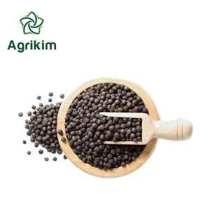 La mejor opción de polvo de pimienta negra seca de Vietnam 500-580g/L Gran sabor Asta crudo Estándar Especias y hierbas individuales para exportación - Product Image 4