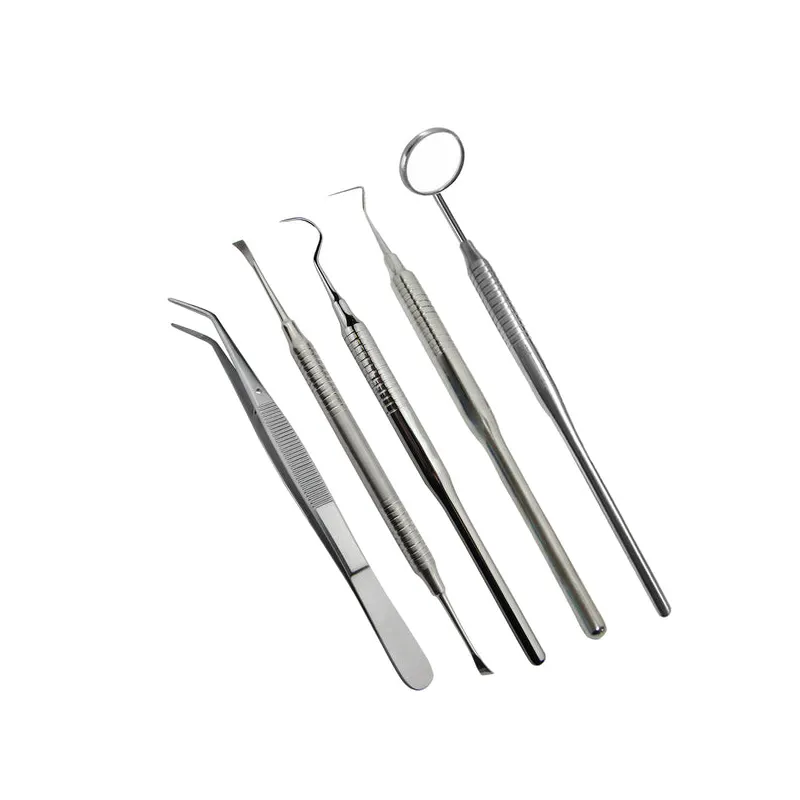 Ali Surgical Dental Examination Instrument CE Quality Certified Needle Mirror Tool for Mouth Surgery and Oral Care