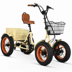 ANYterrain 4 Wheel 750w Recumbent E-<b>Bike</b> - Product Image 1