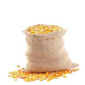 Maïs sucré jaune de haute qualité dernière arrivée directe d'usine en gros alimentation animale congelée - Product Image 4