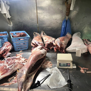 Viande de bœuf congelée halal de qualité export, foie de veau - Bœuf désossé - Product Image 1