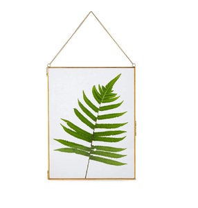 Unique Pressed Fall Leaves Wall Decor <b>Brass</b> Hanging <b>Frame</b> for Display Square for Home Decorative Wall Hanging <b>Frame</b> - Product Image 4