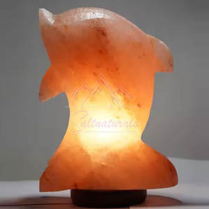 Nouvelle Arrivée du Meilleur Fournisseur Lampe de Sel de l'Himalaya de Haute Qualité en Forme de Dauphin Sculptée au Toucher Réel Style Amour Artisanat Naturel - Product Image 2