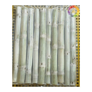 La canne à sucre fraîchement congelée bloque la douceur naturelle de qualité supérieure pour les boissons et les créations culinaires - Product Image 6