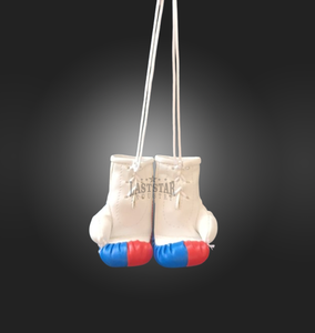 OEM personalizado Mini guantes de boxeo llavero PU cuero país bandera diseño coche colgante compras-EE. UU. Filipinas Mini boxeo llaveros - Product Image 3
