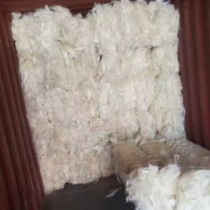 Fibra de sisal sin procesar para uso industrial Antibacterias y respetuoso con el medio ambiente 100-120cm de longitud Alta calidad 100% Kenia - Product Image 5