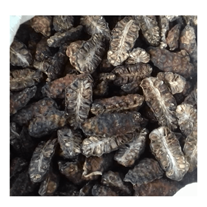 Best <b>Quality</b> Dried Noni Fruit 100% Natural Originated From Vietnam with Competitive Price and High <b>Quality</b> - Product Image 4