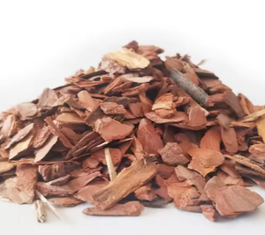 Écorce d'arbre populaire du Vietnam de haute qualité d'usine en gros de haute qualité du Vietnam - Product Image 6