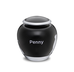 Urnes funéraires européennes classiques en métal pour animaux de compagnie de haute qualité faites à la main style américain dernière arrivée en vrac prix de gros - Product Image 1