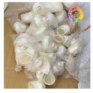 Acabado de alto brillo pulido Turbo Shell para artesanías de primera calidad Producto limpio natural del océano - Product Image 1