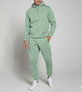 Ensemble Jogging d'Hiver Élégant |   Sweat à capuche unisexe en coton 100% uni avec couleur personnalisée |   Polaire respirante antibactérienne - Product Image 1