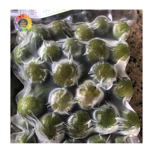 Fruta de Dracontomelon Congelada IQF Entera para Cocinar Sopas y Producción de Bebidas, Fruta de Dracontomelon Congelada IQF Entera con Sabor Ácido - Product Image 2