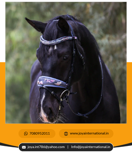 Primera edición Fleur Snaffle Bridle Brida de cuero con estampado floral Precio de fábrica limitado Producto de caballo efímero - Product Image 2