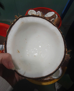 Crema de coco Premium de Vietnam con opciones de suministro a granel, ideal para cocinar, hornear y exportar a los mercados mundiales de alimentos - Product Image 4