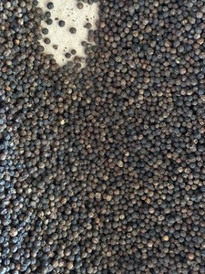 Épices et herbes simples au poivre noir 500/550/560g/L Granule rond entier séché conservé avec du sel Traitement brut Normes FAQ - Product Image 2