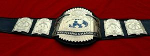 Wrestling Championship Belts Trophées Médailles et récompenses le symbole ultime de la victoire et de l'excellence Ceintures de championnat - Product Image 3