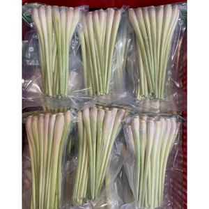 Citronnelle surgelée de qualité supérieure du Vietnam, riche en arôme, pour les restaurants et la restauration - Product Image 5