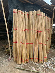 Postes fuertes de bambú natural de Vietnam hechos para la construcción, jardinería, paisajismo y fabricación de artesanías - Product Image 5