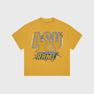 Albany State University เสื้อยืดฟุตบอลชายผ้าโพลีเอสเตอร์/ ผ้าฝ้ายถักระบายอากาศได้ดีเครื่องแต่งกายทีมวิทยาลัย hbcu ฤดูร้อน - Product Image 3