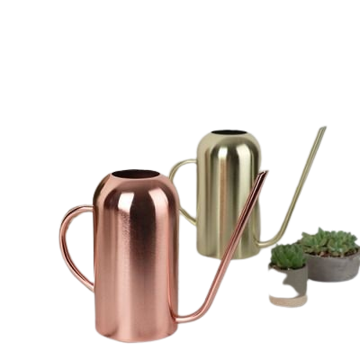 ทั้งหมด