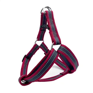 Accesorios DE SEGURIDAD DE collar reflectante personalizado de nailon para mascotas - Product Image 3