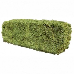 หญ้าอัลฟัลฟ่า ทิโมธี และเบอร์มิวดา คุณภาพดีที่สุด ขายส่ง ราคาพิเศษ กำลังเป็นที่นิยม  มีจำหน่ายเป็นมัด สำหรับปศุสัตว์ - Product Image 4