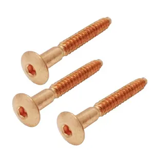 Wholesale Price Custom Material Copper Replacement Screws Shelf Units Assemble Screw Shelf Screws