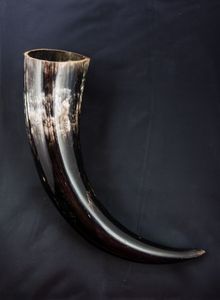 New Style Handmade Buffalo <b>Drinking</b> <b>Horn</b> Natural Traditional Buffalo Viking <b>Drinking</b> <b>Horn</b> For Historical Events And Hand Carved - Product Image 4