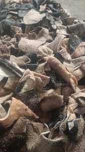 Recorte de cuero genuino de piel de vaca de alta calidad, división a granel competitiva para pegamento de cuero crudo, fabricación de colágeno de gelatina, suministro al por mayor - Product Image 3