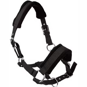 Nouveau 2025 meilleure vente haute qualité cheval licou PP réglable tête de cheval collier équipement - Product Image 5