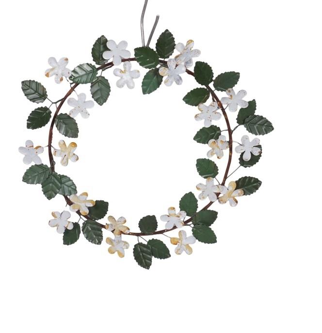 พืชธรรมชาติหลากสี