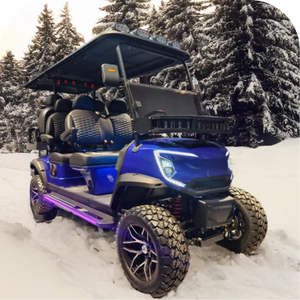 Transport City Petite télécommande 4000W Unique luxe 2 + 2 places Mini voiturette de golf électrique - Product Image 5