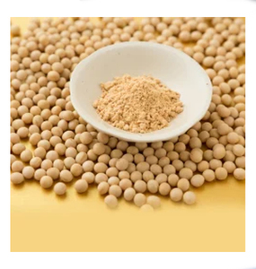 Herbojit International - Salsa de Soya Natural en Polvo Seca por Aspersión, Ingrediente de Sabor para Alimentos, Condimento al por Mayor a Buen Precio - Product Image 1