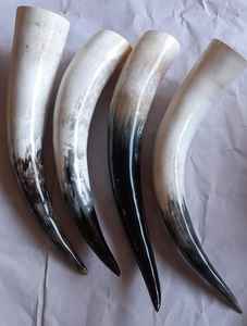 Cornes de buffle naturelles faites sur mesure, idéales pour la décoration de la maison et pour les magasins de fournitures viking pour la revente - Product Image 2