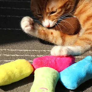 <b>Interactive</b> Plush Squeak <b>Cat</b> <b>Toy</b> with Cotton Rope for Dog Play Featuring Cartoon Design and <b>Interactive</b> Style Packed in Bag - Product Image 3