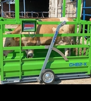 Nouvelle balance pour bétail Sayginlar avec composants de base à roulement, haute productivité, capacité de 2000 kg, garantie 1 an pour le pesage des animaux