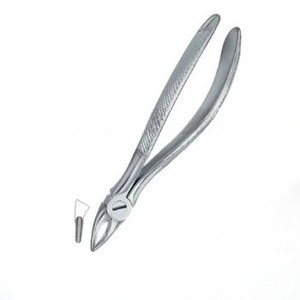 Produits de logo personnalisé de haute qualité Forceps d'extraction de dents dentaires Fig.30 S Instruments dentaires en acier inoxydable - Product Image 5