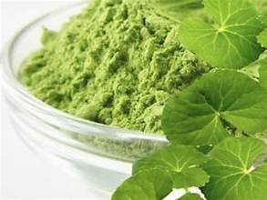POUDRE DE GOTU KOLA AUX HERBES IMMUNITAIRES AVEC DES INGRÉDIENTS PURS DE SOURCES BOTANIQUES NATURELLES - Product Image 5