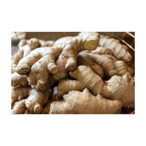 Gingembre congelé biologique pelé et tranché/haché à un prix pour un usage culinaire - Product Image 4