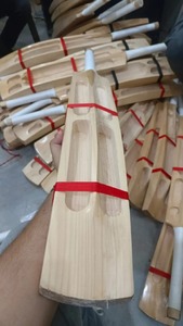 Murciélago sauce cachemir - Product Image 6