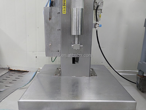 Machine d'emballage de remplissage Corée Bok Choy Kimchi - Product Image 5