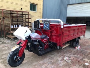<span class=keywords><strong>3</strong></span> ruote 200cc nuova casa adulto benzina <span class=keywords><strong>3</strong></span> ruote moto con tricicli da carico Sidecar per il carico - Product Image 3
