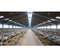 Structure de hangar préfabriqué en acier sur mesure pour chèvres et moutons