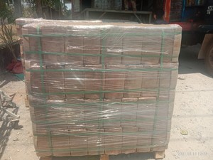 พีทโกโก้สำหรับการทำสวนอย่างยั่งยืน: ย่อยสลายได้, สื่อกลางในการปลูกทดแทนสำหรับราก, ต้นกล้า, การดูแลพืชที่ใส่ใจสิ่งแวดล้อม - Product Image 4