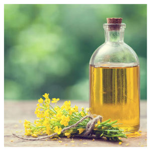 Aceite de canola refinado crudo orgánico al por mayor directo de fábrica Aceite de canola natural puro para cocinar Disponible a granel - Product Image 4