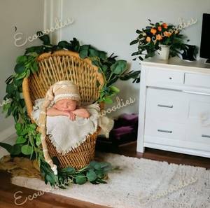 เก้าอี้ถ่ายภาพในร่ม/กลางแจ้งสำหรับเด็กแรกเกิด, เก้าอี้ถ่ายภาพพื้นหลังสีธรรมชาติสไตล์เรียบง่ายแข็งแรง - Product Image 6