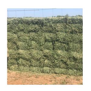 Fournisseur en gros de foin d'alfalfa frais naturel en ligne - Product Image 1