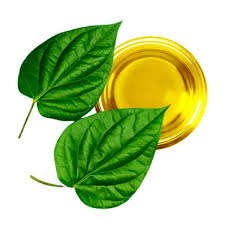 Huile pure et huile essentielle de feuille de betel, étiquette privée et approvisionnement en vrac, huile essentielle de parfum, qualité aromathérapie, en provenance d'Inde - Product Image 4