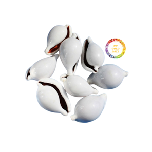 Conchas pulidas naturales para rellenos de jarrones Decoración costera sostenible de Vietnam - Product Image 3